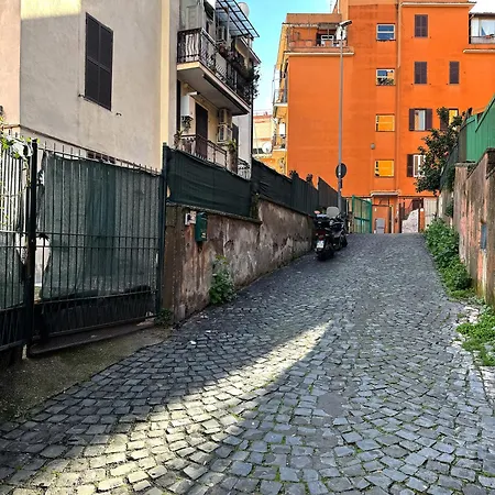 St Peter's Alley Daire Roma
