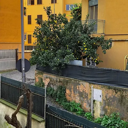 St Peter's Alley Daire Roma